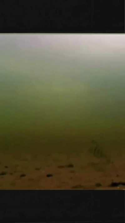 Let's go fishing fellas