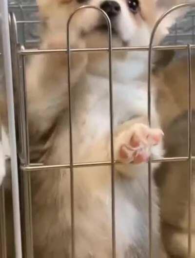 It wants to come out