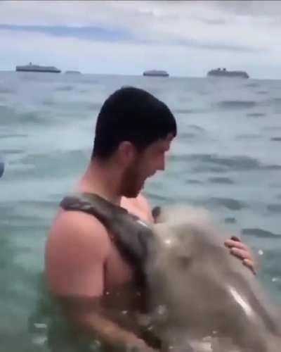 Seal of approval? Seal hugs swimmer.
