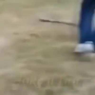 Forth of July enjoy your guns