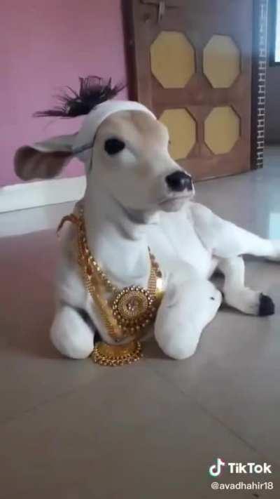 So beautiful 💓💓💓