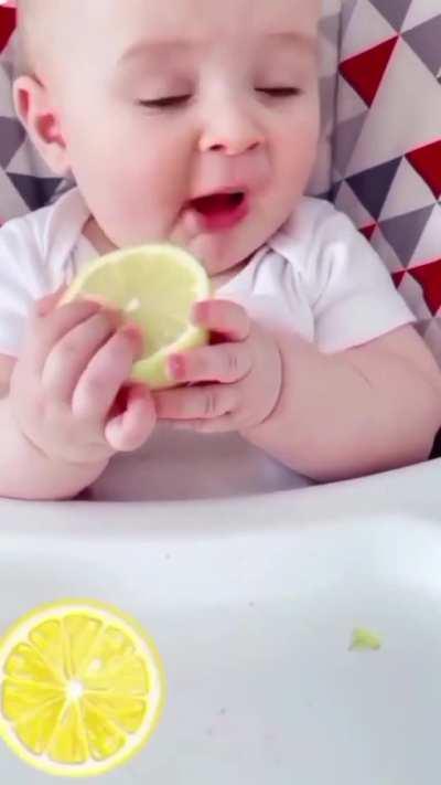 Baby tries lemon for the first time
