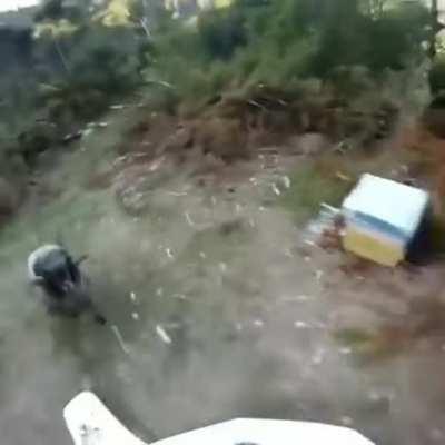 Why are you running?