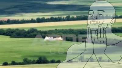 As a history teacher, military enthusiast, documentary enjoyer and Ukraine supporter; Clips like this give me life