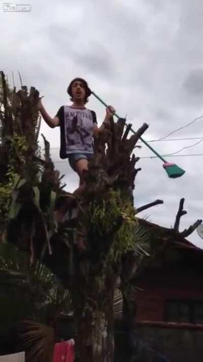 Abajan el chango 🌩