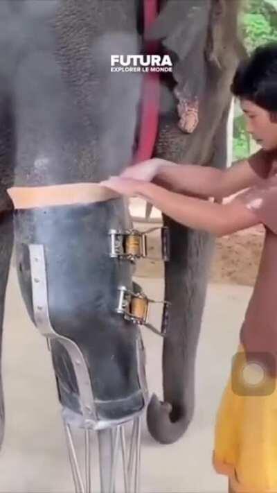 Just seeing him happily walk made me smile!