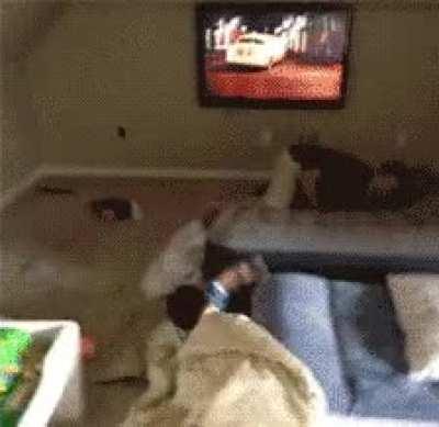 You spin my head right round.