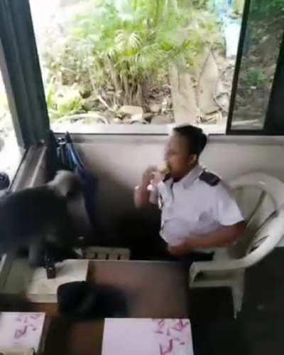 [Not OC] MoNkEy rObS mAn Of BaNaNaS