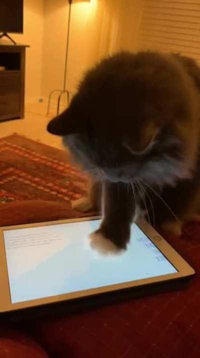 I was trying to read on my iPad, but I was better off without the battle.