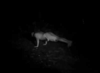 The Blair Jon Project 