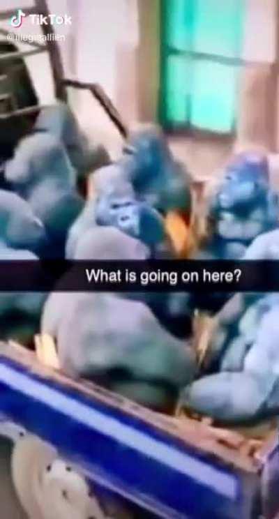 I’m 15 and this is yeet