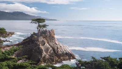 Apple didn't release a nature wallpaper for macOS Monterey, so my friends and I made our own dynamic wallpaper for you all to download!