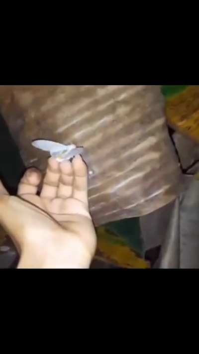 Blink and ya might miss it 👀