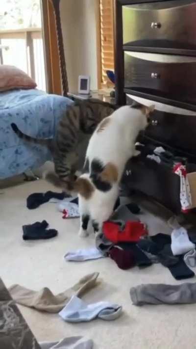 Did you find that thing