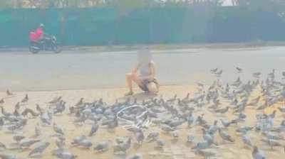 Opps moment while feeding the pigeons. I don’t know but people must have looked at my milky legs and blue thongs. [f] [female]