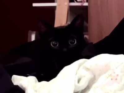 Wiggle wiggle wiggle