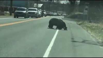 stupid kids cause a traffic jam