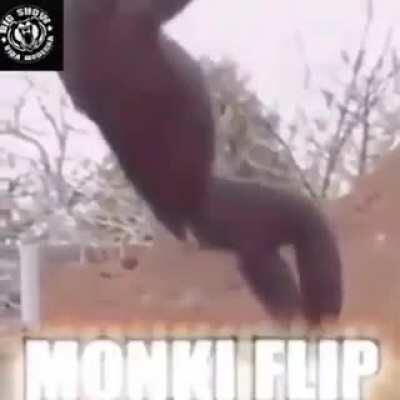 Monkey flip