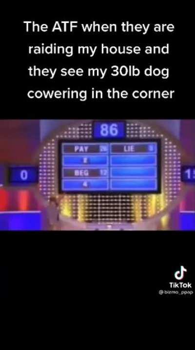 B-but the dog was a threat!