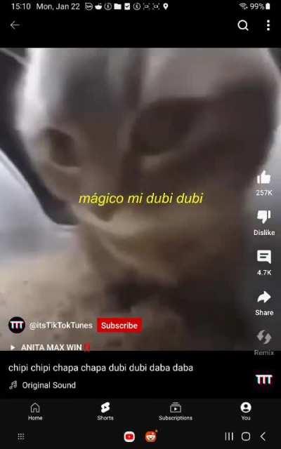 chipi chipi chapa chapa cat meme