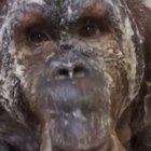 My god, what are you doing?!