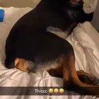 He said 🤪🤪🤪