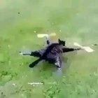 My favorite killstreak