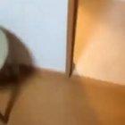 Revenge of the undead