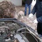 HEY.. LET ME HELP YOU, I KNOW HOW TO FIX IT!