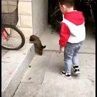 A little guy helping another little guy.