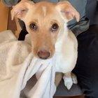 Got my blanket and my Binky!