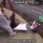 Se le ven muy frescos.