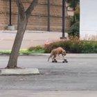 Bros cruising the streets