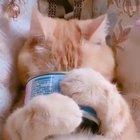 Living it's best life