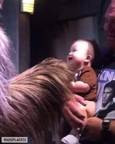 Baby meets Chewbacca