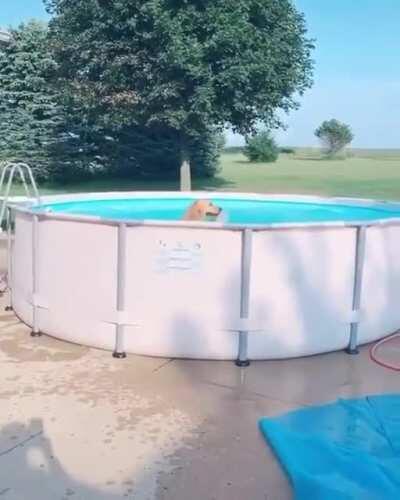 When you're just too excited about life