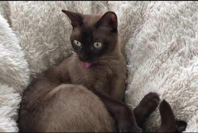 Test of a tornado siren