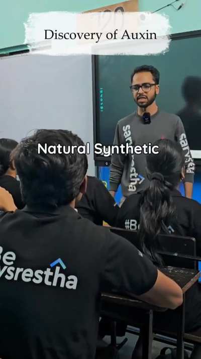 Another banger (Auxin anthem)