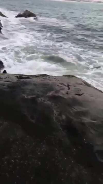 Ободранная жопа