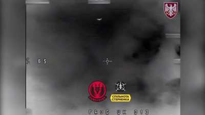 Ukrainian Anti-Reconn Drone Operation Against Russian Thermal Reconn Drones