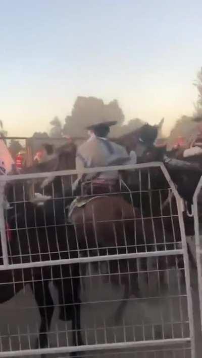 Ya llego el 18 cabros 🇨🇱