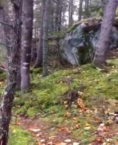 The ground breathing