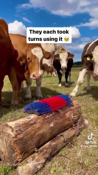 Scratching that itch you can’t reach