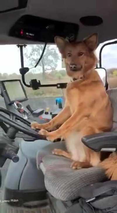 And people thought AI would take agricultural jobs…