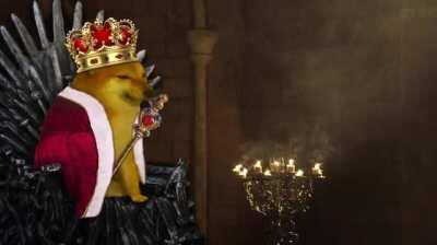 When DOGE Surpasses BTCs Market Cap and becomes #1 Crypto: