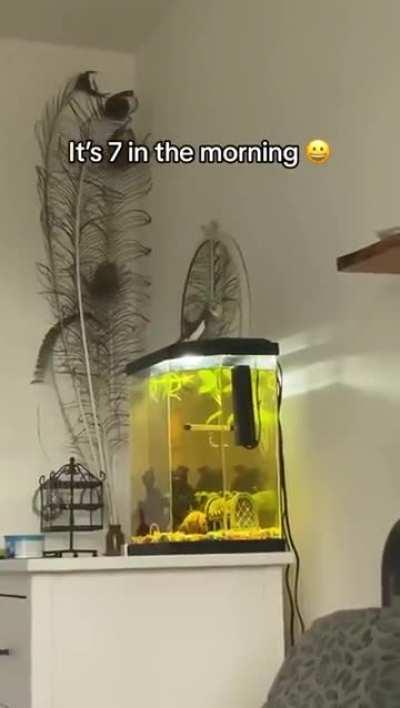 You can't turn me off
