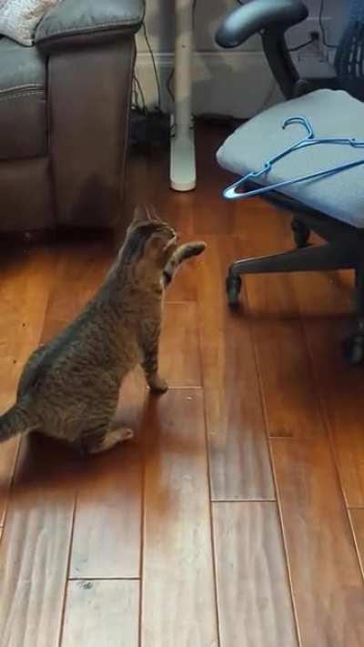 Cat protecting family from evil hanger