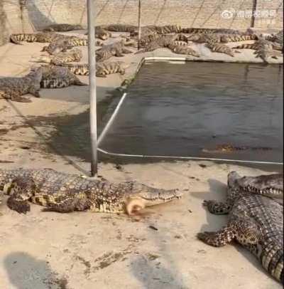 So close yet progressively moving so far