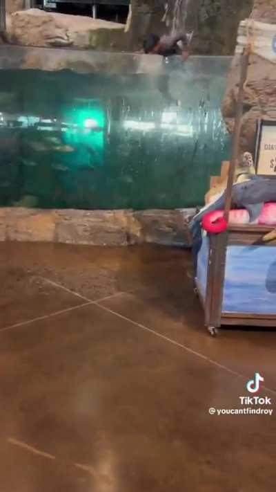 No way bro now i see why mac talk on mexicans