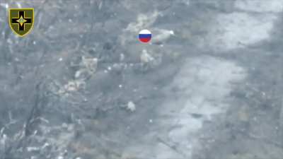 Ukrainian military destroys Russian assault group in close combat in Toretsk direction